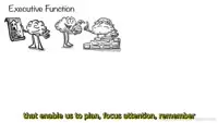 Executive Function - The Brain's Control Center