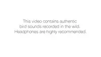 How do birds learn to sing? - Partha P. Mitra